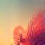 Artistic Vision Icon - a camera lens with a creative swirl